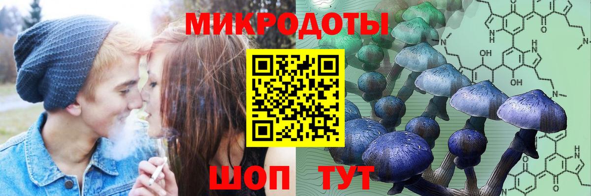 Галлюциногенные грибы Magic Shrooms  Вход с VPN  сколько стоит  Кулебаки  Псилоцибиновые грибы Psilocybe 